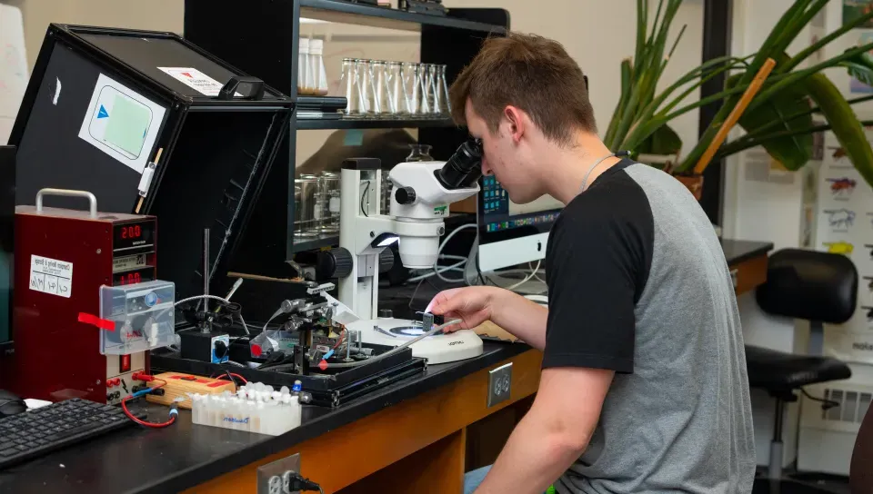 A student sits at a microscope in a lab setting